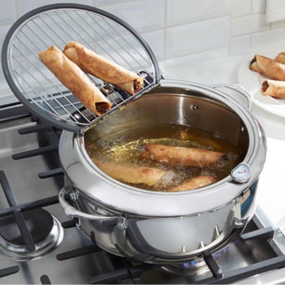 Princess House deep Fryer